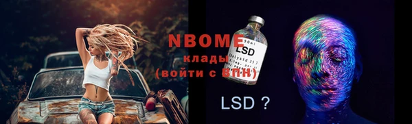 сатива Аркадак