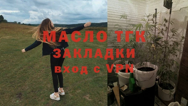 сатива Аркадак