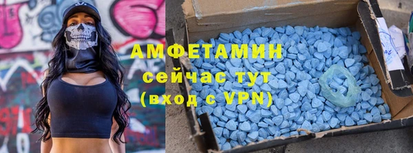 сатива Аркадак