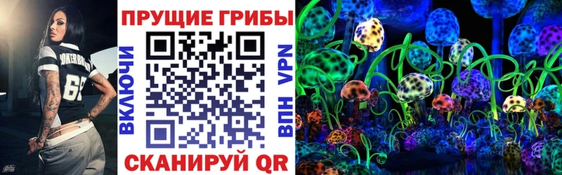 Псилоцибиновые грибы мицелий Тайга